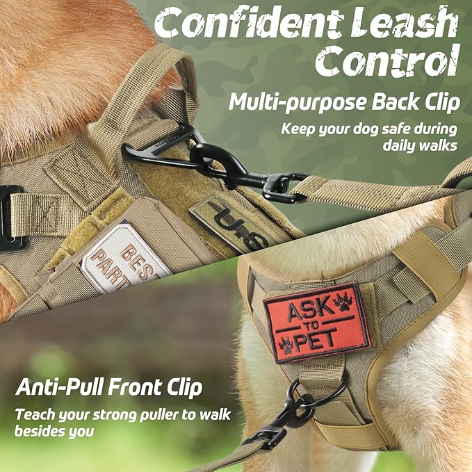 DOGSIL Large Dog Harness & Leash Set: Comfort and Control for Your Furry Companion